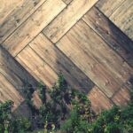 Cum contribuie parchetul ecologic la reducerea amprentelor de carbon